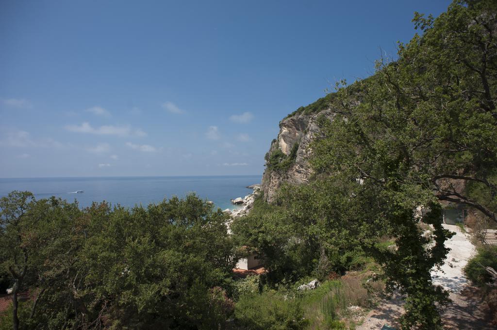 Apartments Villa Simonovic Petrovac Exterior foto